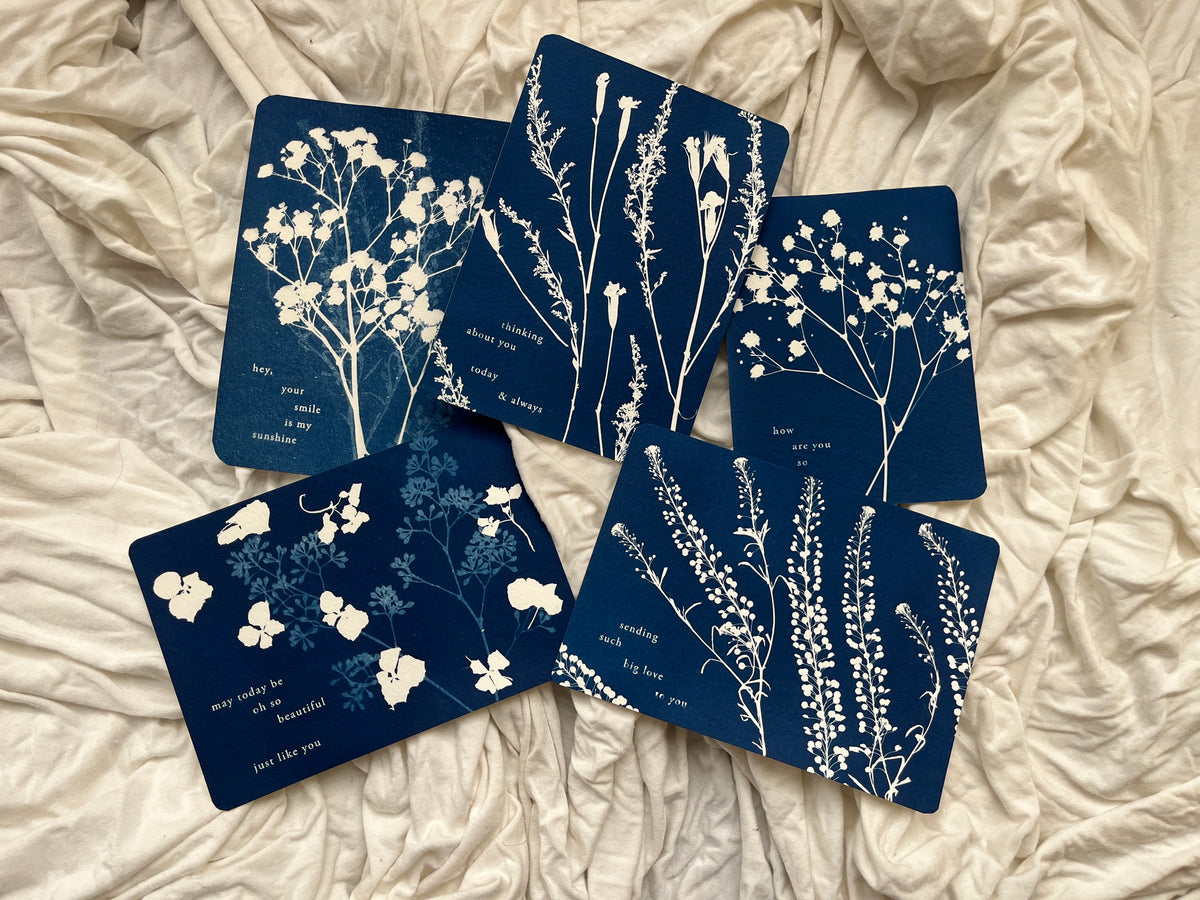 Affirming Flowers Cyanotype Prints Postcards • Set of 5