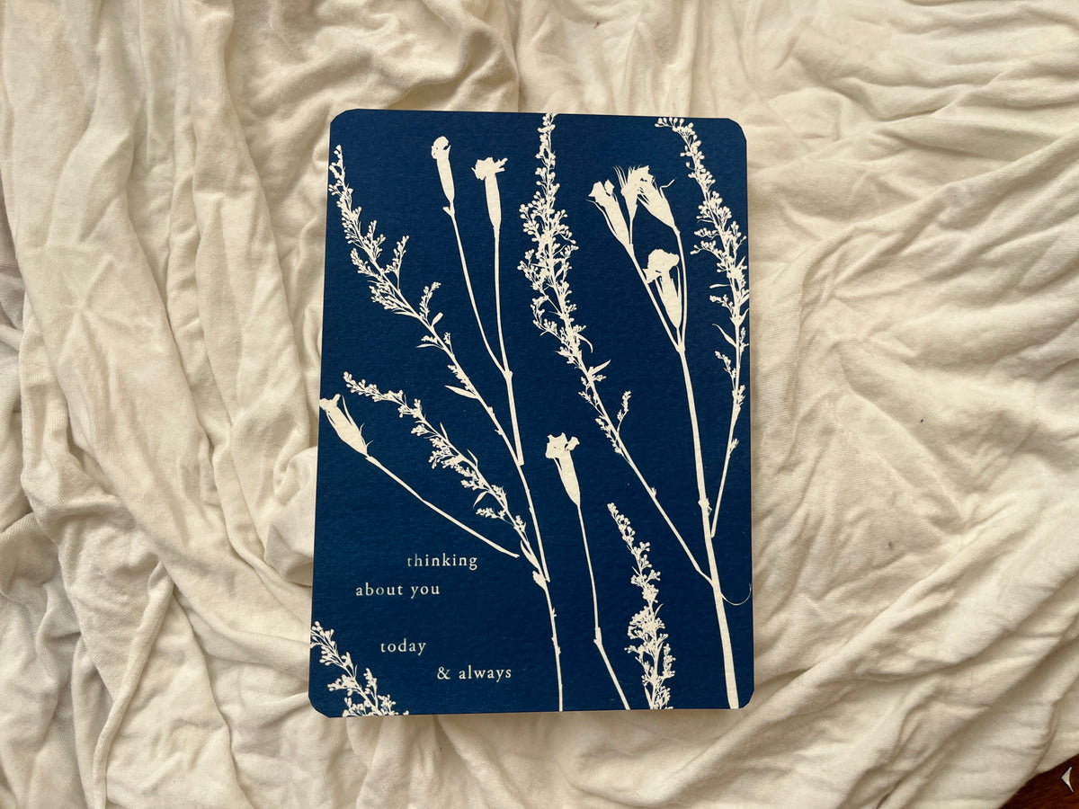 Affirming Flowers Cyanotype Prints Postcards • Set of 5