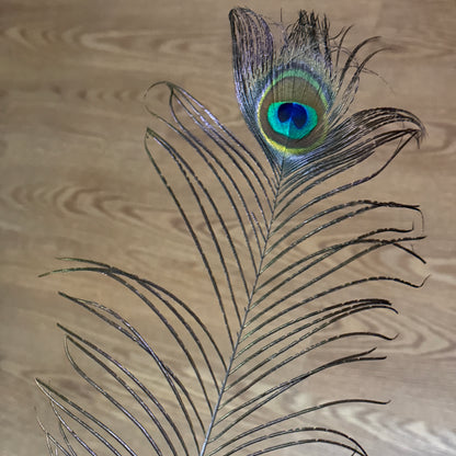 Piece of the Peacock image 0